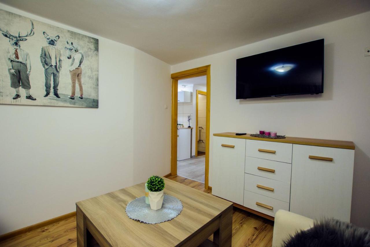 Apartament Tajemniczy Ogrod Scisle Centrum זקופאנה מראה חיצוני תמונה
